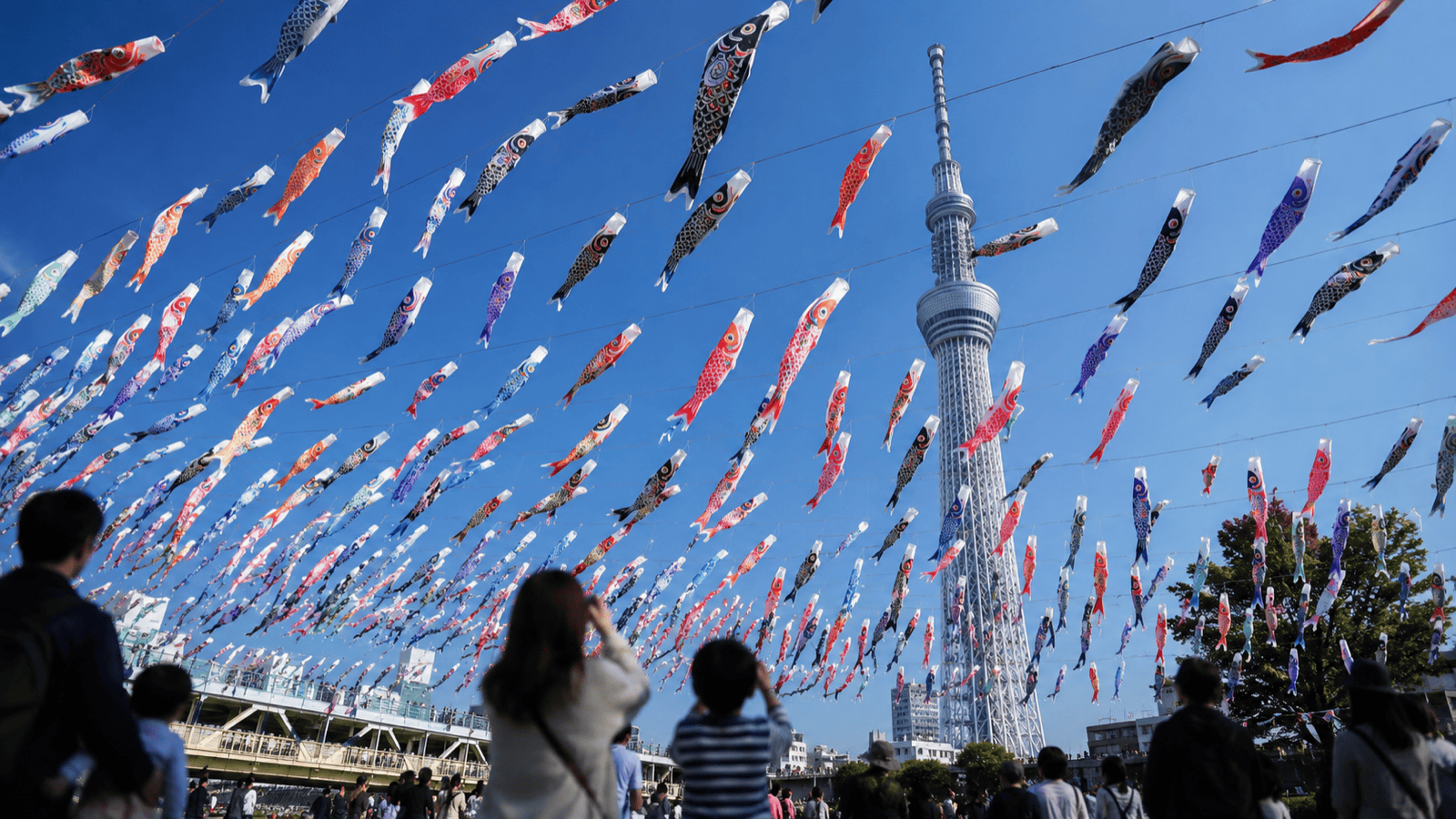 About 1,000 Koinobori Swim Across the Sky at Tokyo Skytree Town — Children's Day 2026