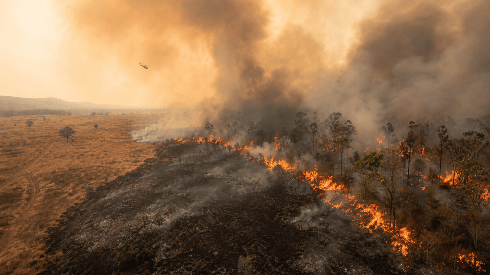 Global Fire Damage Hits Record Levels as El Nino Threat Builds